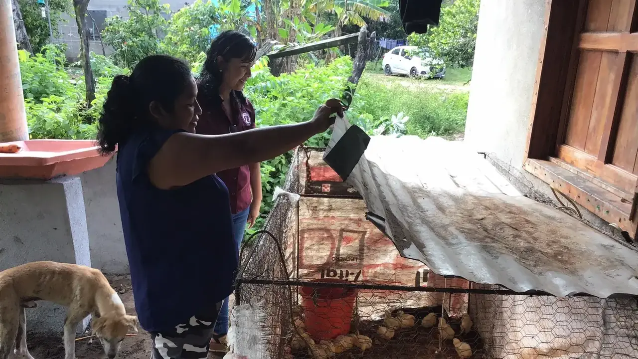 Perseverancia comunitaria